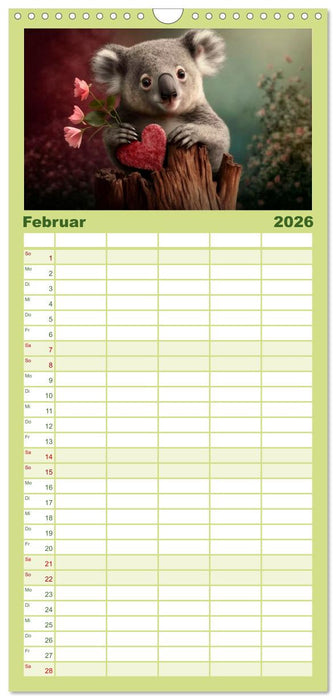 Die Koalas sind los! Ein Jahr voller Bärenspaß (CALVENDO Familienplaner 2026)