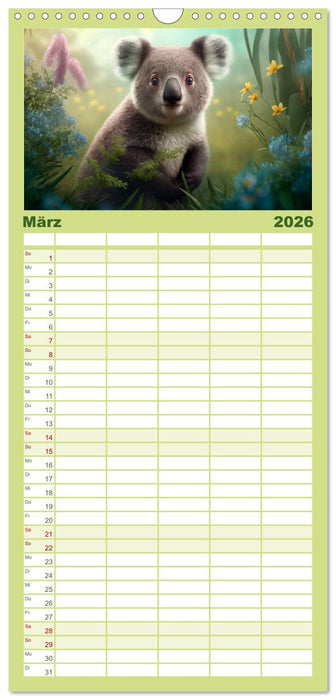 Die Koalas sind los! Ein Jahr voller Bärenspaß (CALVENDO Familienplaner 2026)