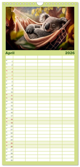 Die Koalas sind los! Ein Jahr voller Bärenspaß (CALVENDO Familienplaner 2026)