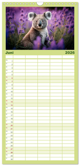 Die Koalas sind los! Ein Jahr voller Bärenspaß (CALVENDO Familienplaner 2026)