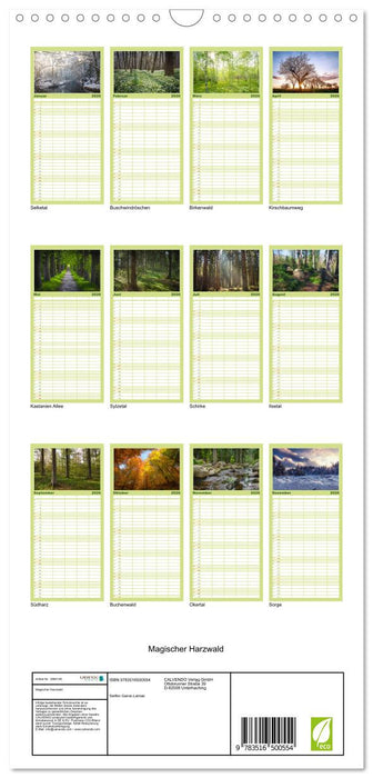 Magischer Harzwald (CALVENDO Familienplaner 2026)