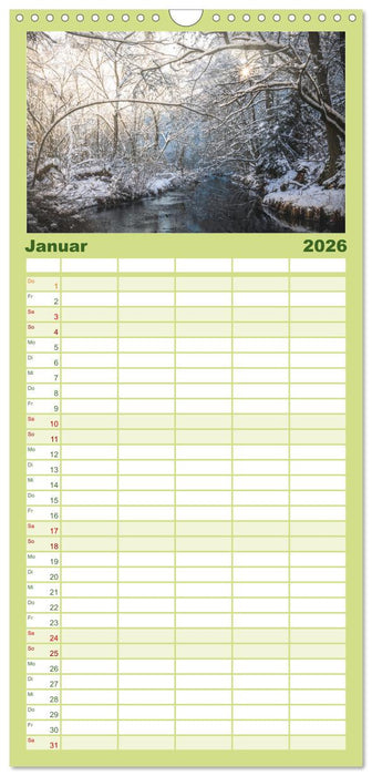 Magischer Harzwald (CALVENDO Familienplaner 2026)