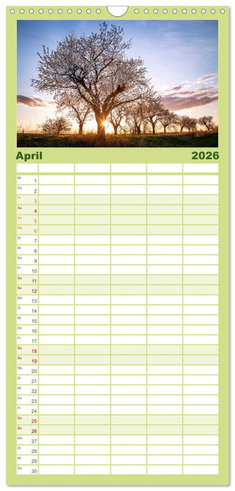 Magischer Harzwald (CALVENDO Familienplaner 2026)