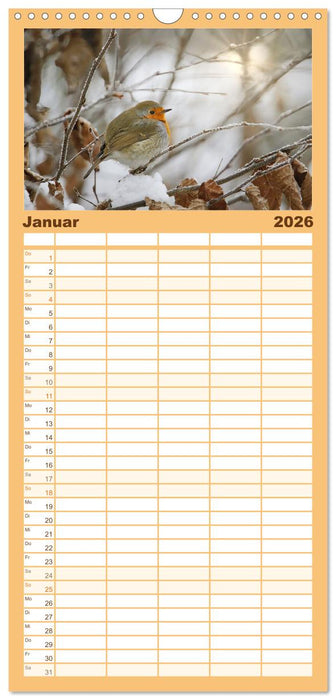 Zauberhafte Rotkehlchen (CALVENDO Familienplaner 2026)