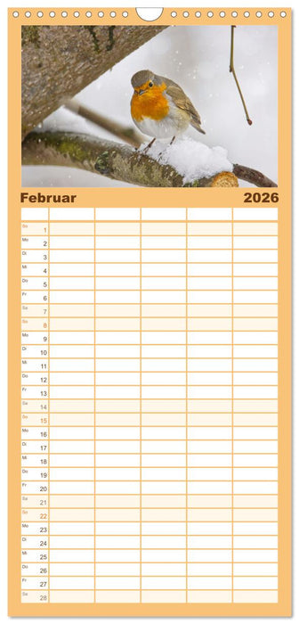 Zauberhafte Rotkehlchen (CALVENDO Familienplaner 2026)