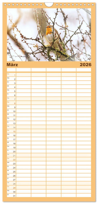 Zauberhafte Rotkehlchen (CALVENDO Familienplaner 2026)