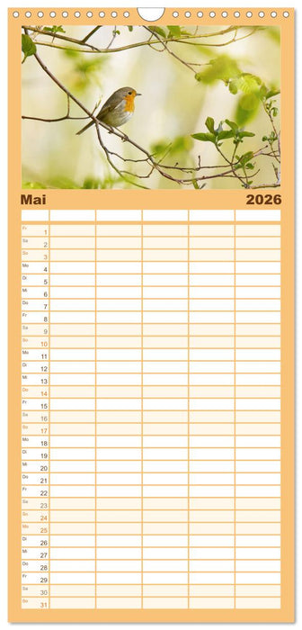 Zauberhafte Rotkehlchen (CALVENDO Familienplaner 2026)