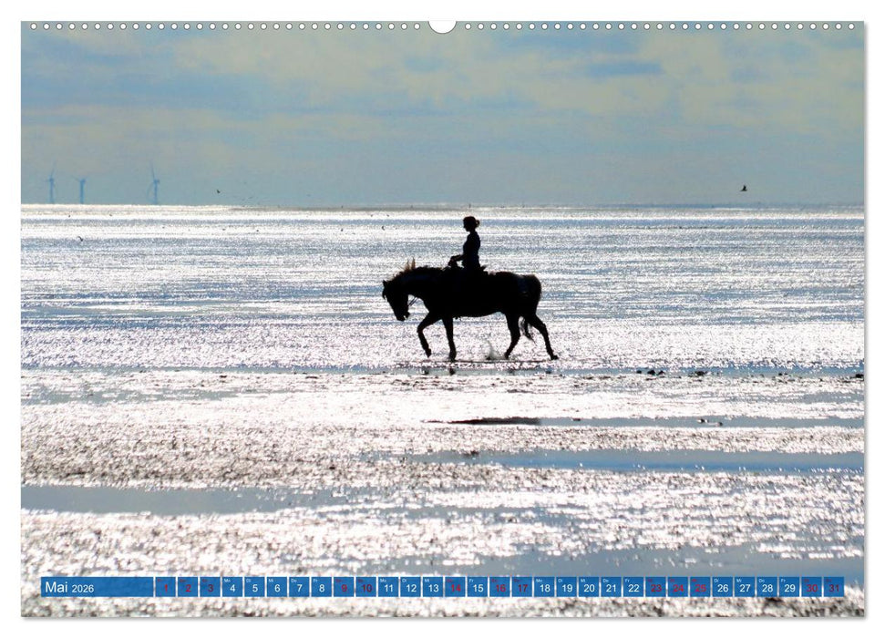 Cuxland, Urlaubsglück zwischen Nordsee und Elbe (CALVENDO Wandkalender 2026)