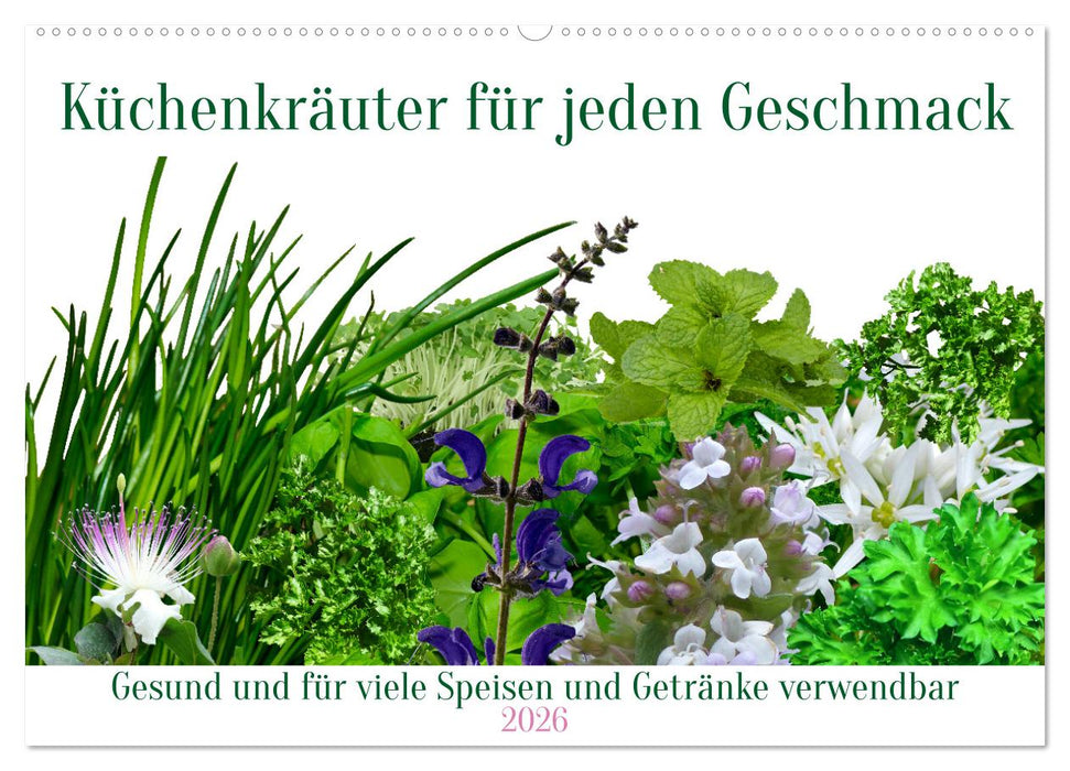 Küchenkräuter für jeden Geschmack (CALVENDO Wandkalender 2026)