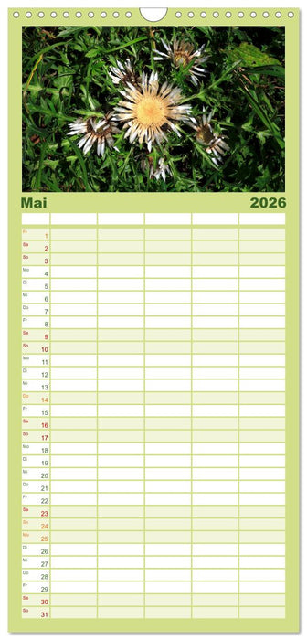 Mangfallgebirge (CALVENDO Familienplaner 2026)