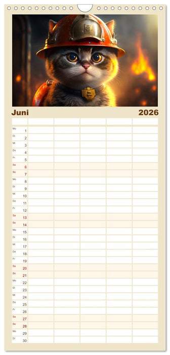Lustige Kätzchen (CALVENDO Familienplaner 2026)