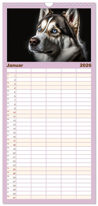 Hunde Porträts (CALVENDO Familienplaner 2026)