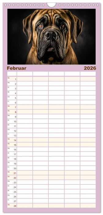 Hunde Porträts (CALVENDO Familienplaner 2026)