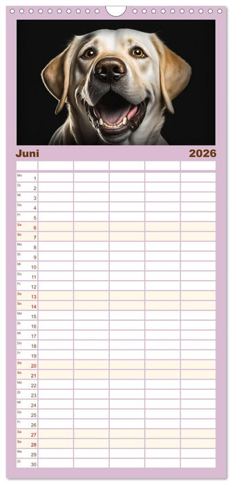 Hunde Porträts (CALVENDO Familienplaner 2026)