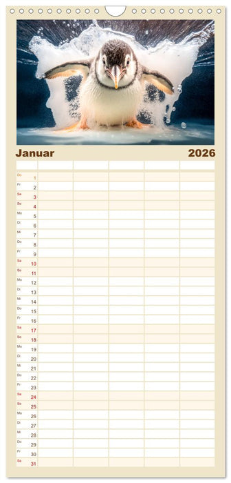 Tierkinder beim Baden (CALVENDO Familienplaner 2026)