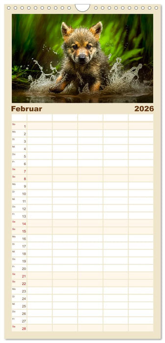 Tierkinder beim Baden (CALVENDO Familienplaner 2026)