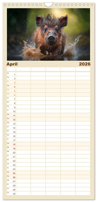 Tierkinder beim Baden (CALVENDO Familienplaner 2026)