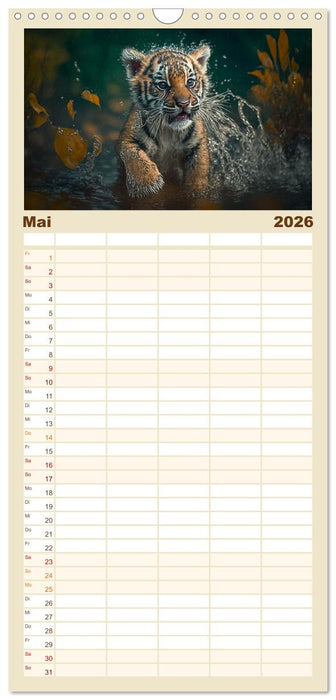 Tierkinder beim Baden (CALVENDO Familienplaner 2026)