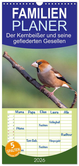 Der Kernbeißer und seine gefiederten Gesellen (CALVENDO Familienplaner 2026)