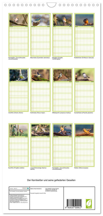 Der Kernbeißer und seine gefiederten Gesellen (CALVENDO Familienplaner 2026)
