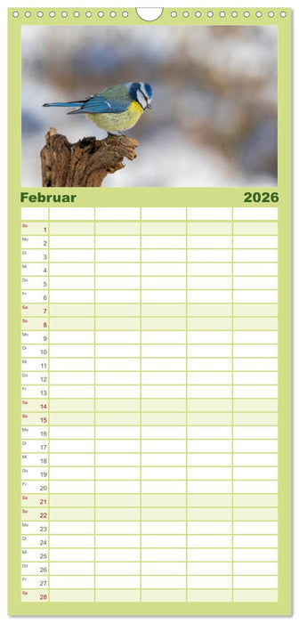 Der Kernbeißer und seine gefiederten Gesellen (CALVENDO Familienplaner 2026)