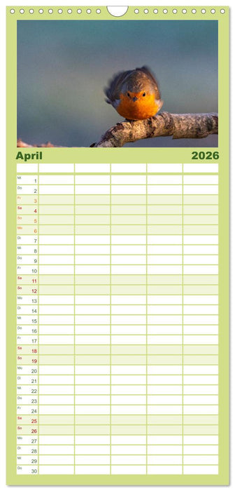 Der Kernbeißer und seine gefiederten Gesellen (CALVENDO Familienplaner 2026)