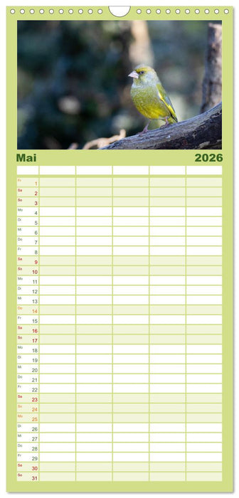 Der Kernbeißer und seine gefiederten Gesellen (CALVENDO Familienplaner 2026)
