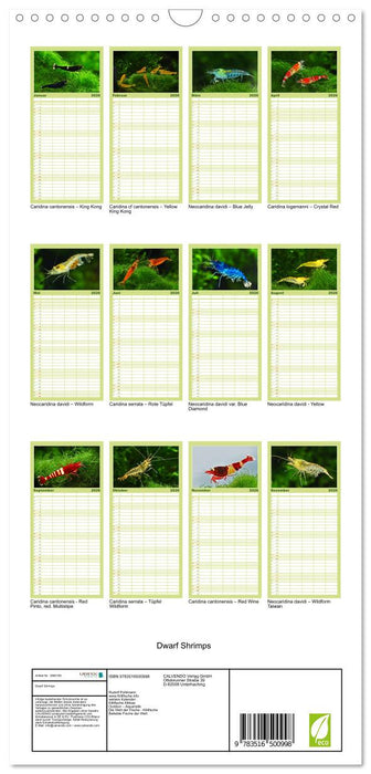Dwarf Shrimps (CALVENDO Familienplaner 2026)