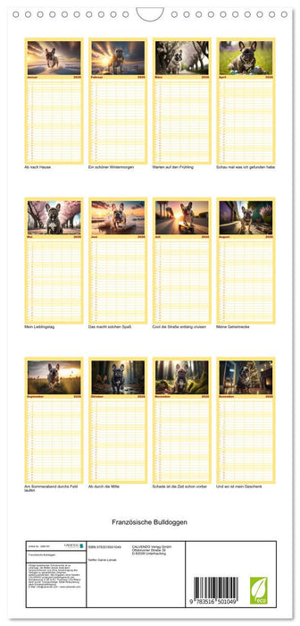 Französische Bulldoggen (CALVENDO Familienplaner 2026)