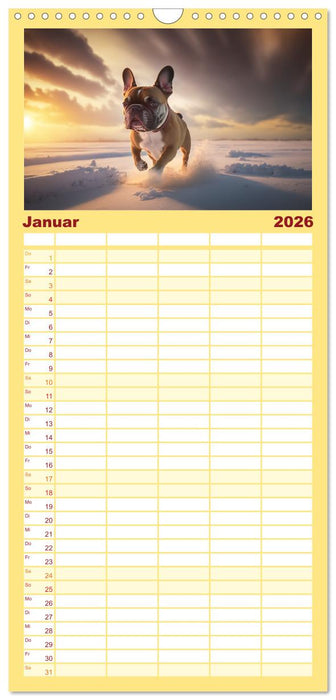 Französische Bulldoggen (CALVENDO Familienplaner 2026)
