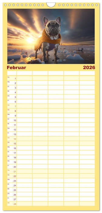 Französische Bulldoggen (CALVENDO Familienplaner 2026)