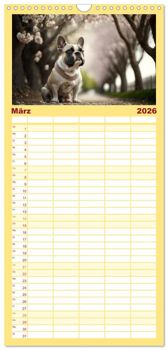 Französische Bulldoggen (CALVENDO Familienplaner 2026)