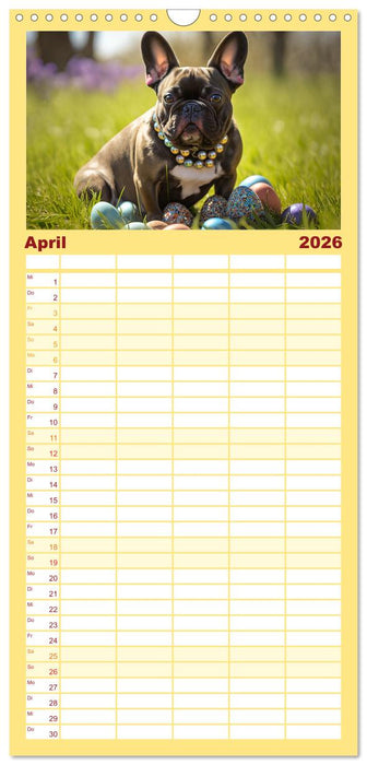 Französische Bulldoggen (CALVENDO Familienplaner 2026)