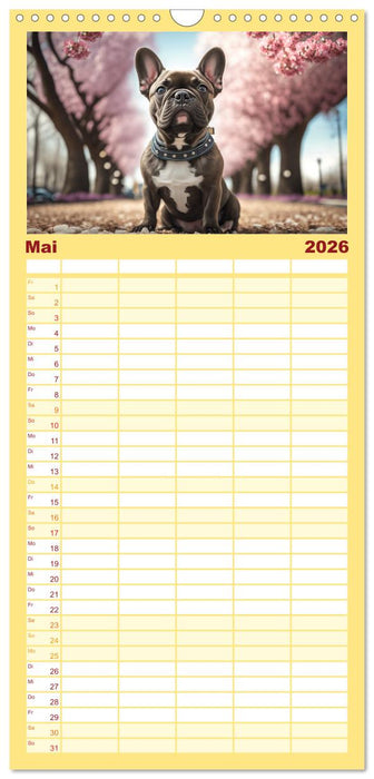 Französische Bulldoggen (CALVENDO Familienplaner 2026)
