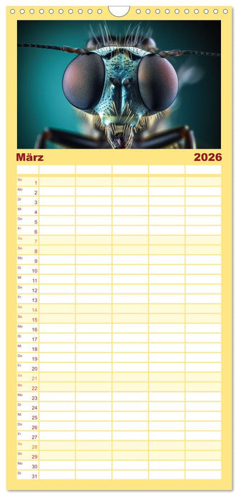 Kleine Tiere ganz nah (CALVENDO Familienplaner 2026)