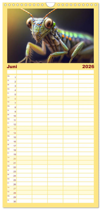 Kleine Tiere ganz nah (CALVENDO Familienplaner 2026)