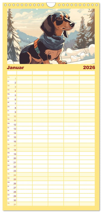 Dackel (CALVENDO Familienplaner 2026)