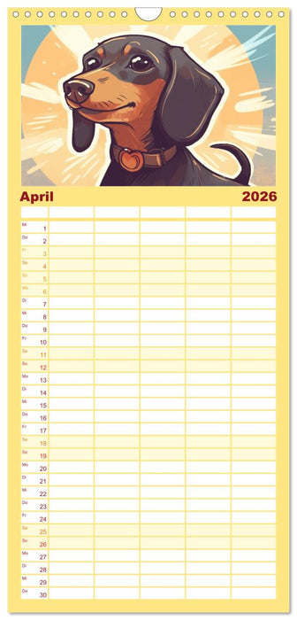 Dackel (CALVENDO Familienplaner 2026)