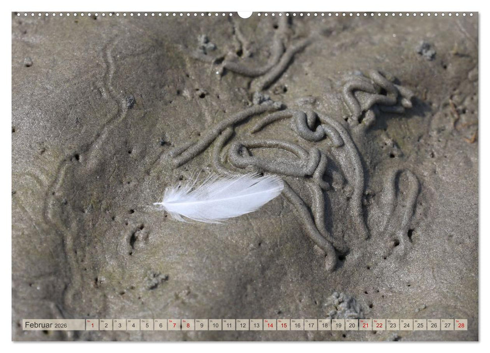 Cuxland, Urlaubsglück zwischen Nordsee und Elbe (CALVENDO Premium Wandkalender 2026)