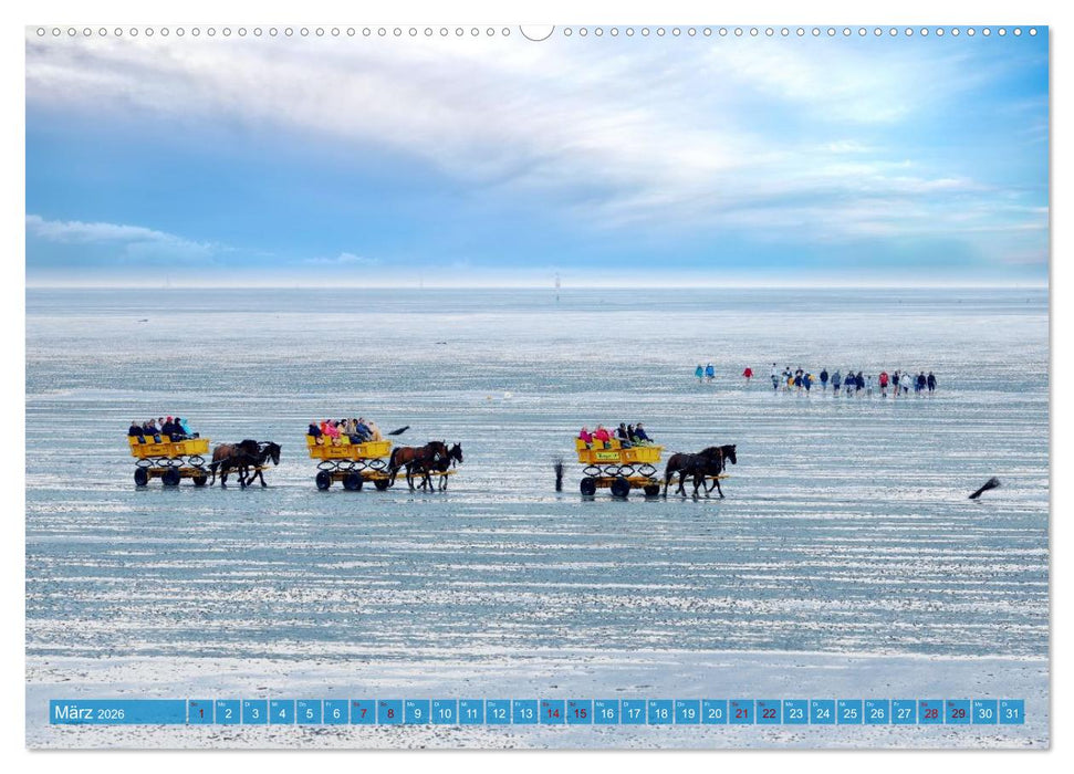 Cuxland, Urlaubsglück zwischen Nordsee und Elbe (CALVENDO Premium Wandkalender 2026)