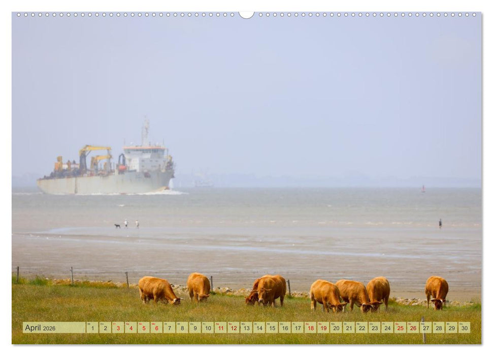 Cuxland, Urlaubsglück zwischen Nordsee und Elbe (CALVENDO Premium Wandkalender 2026)