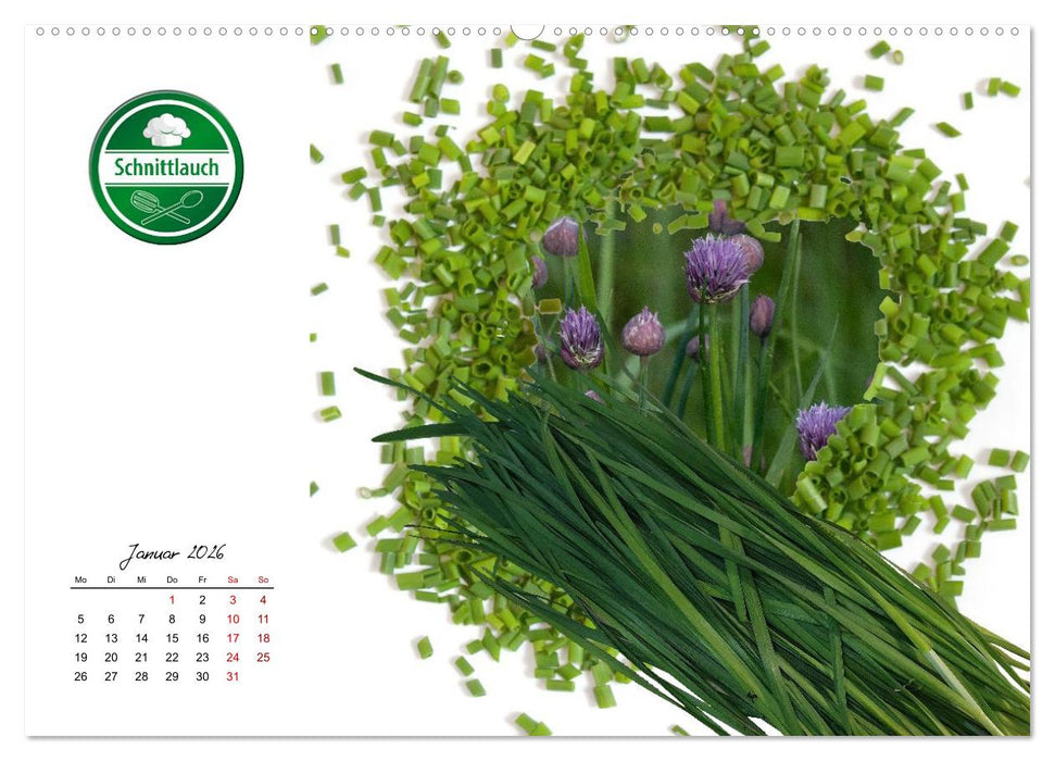 Küchenkräuter für jeden Geschmack (CALVENDO Premium Wandkalender 2026)