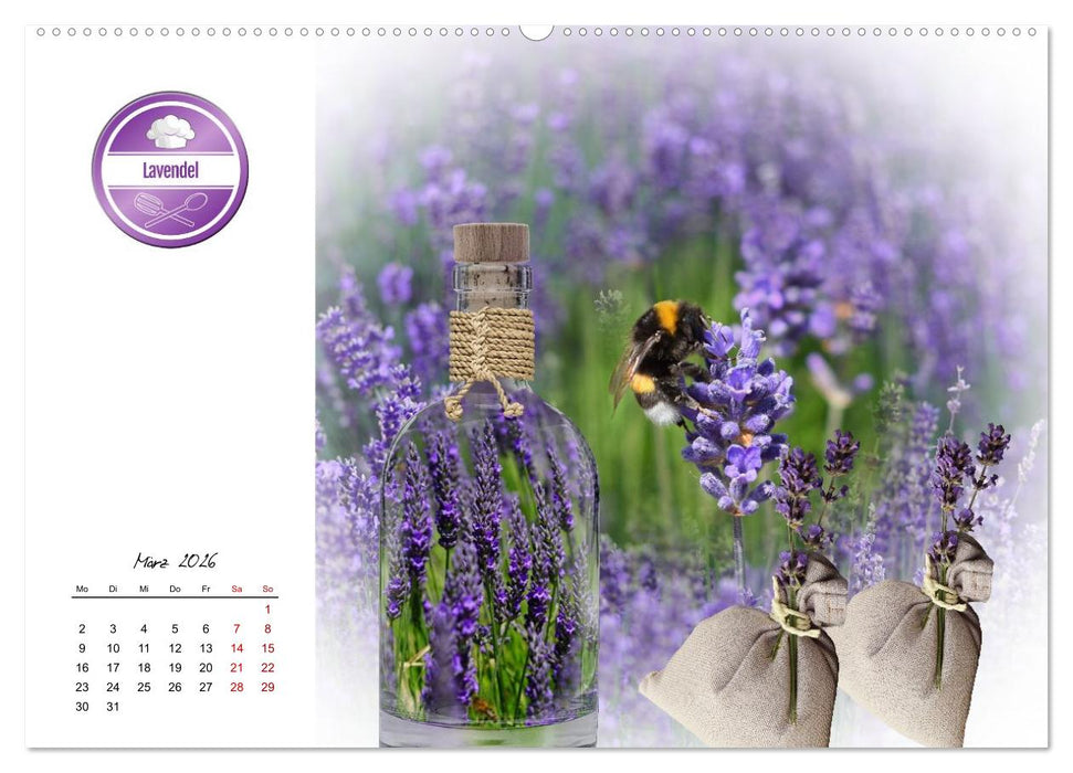 Küchenkräuter für jeden Geschmack (CALVENDO Premium Wandkalender 2026)