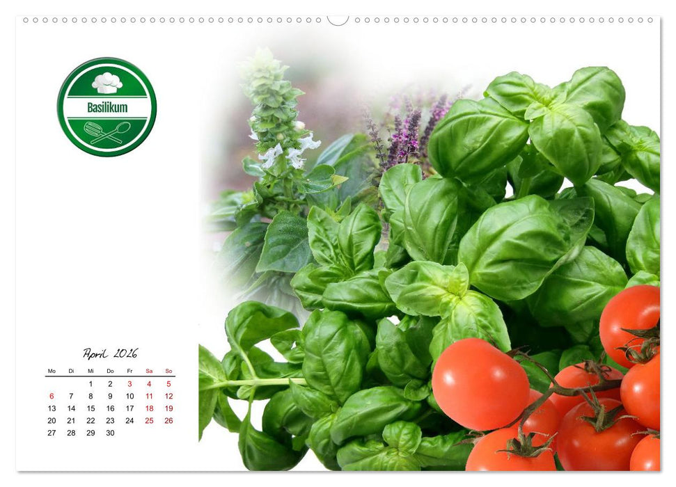 Küchenkräuter für jeden Geschmack (CALVENDO Premium Wandkalender 2026)
