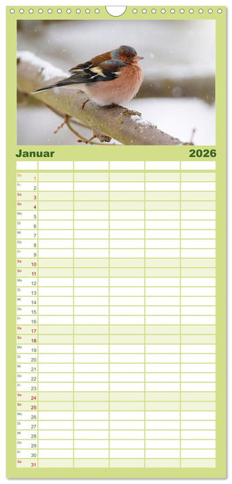 Finkenparade (CALVENDO Familienplaner 2026)