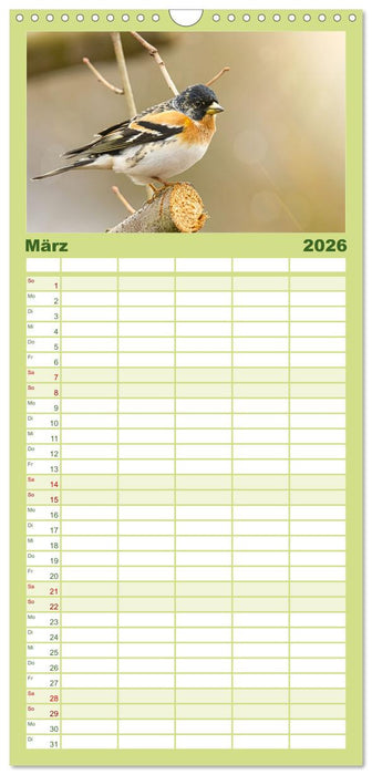 Finkenparade (CALVENDO Familienplaner 2026)