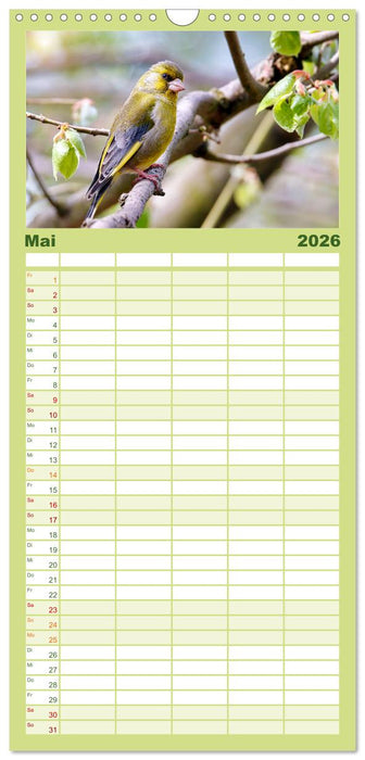 Finkenparade (CALVENDO Familienplaner 2026)