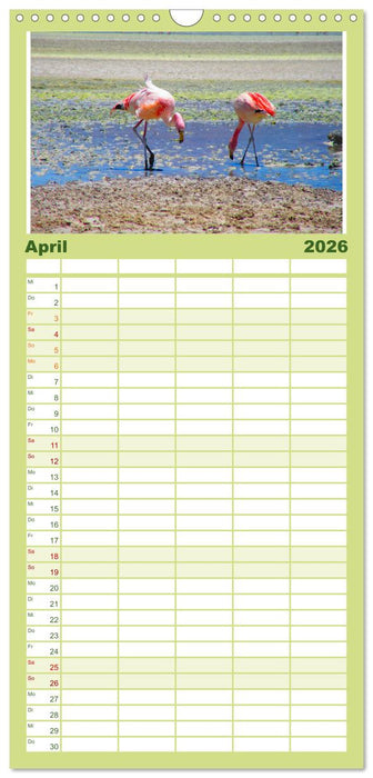 Südamerika - Vom Reich der Inka bis nach Patagonien (CALVENDO Familienplaner 2026)