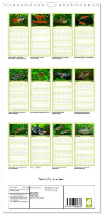 Beliebte Fische der Welt (CALVENDO Familienplaner 2026)