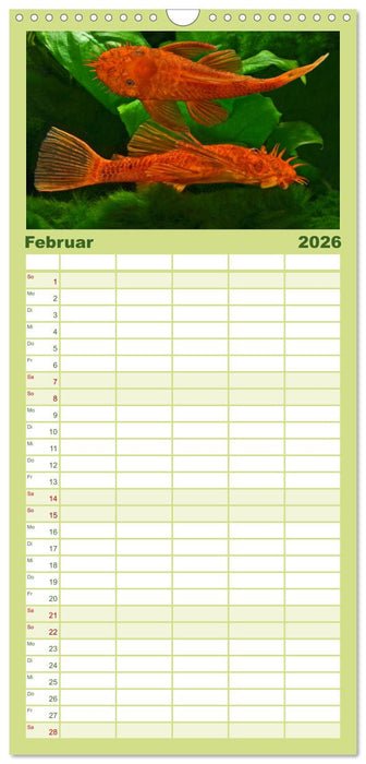 Beliebte Fische der Welt (CALVENDO Familienplaner 2026)